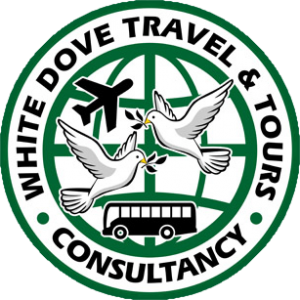 white dove travel and tours logo