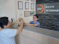 Buan Veterinary Clinic 10.jpg