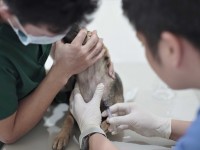 Buan Veterinary Clinic 20.jpg