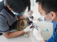 Buan Veterinary Clinic 7.jpg