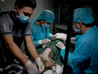 Buan Veterinary Clinic 8.jpg